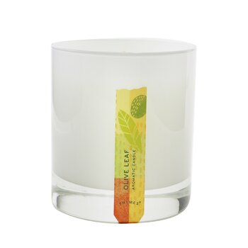 芳香蠟燭 - 橄欖葉 (Aromatic Candle - Olive Leaf)