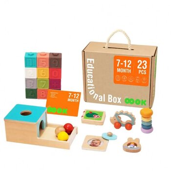 Tooky Toy Co 7-12米寶寶感官教育學習教育盒 (7-12m Baby Sensory Educational Learning Educational Box)