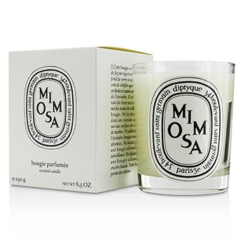 Diptyque 香薰蠟燭-含羞草 (Scented Candle - Mimosa)